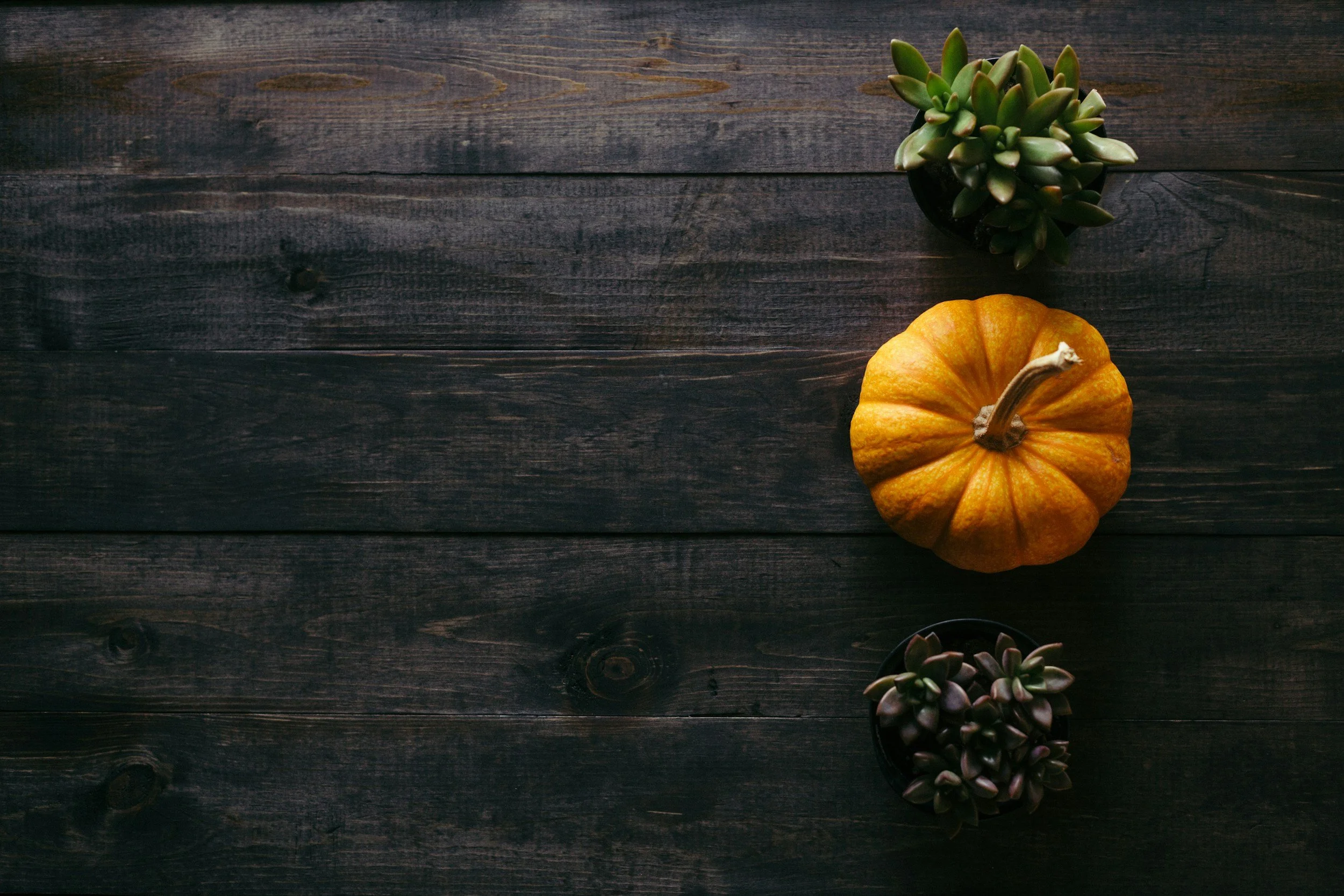 Giving Thanks