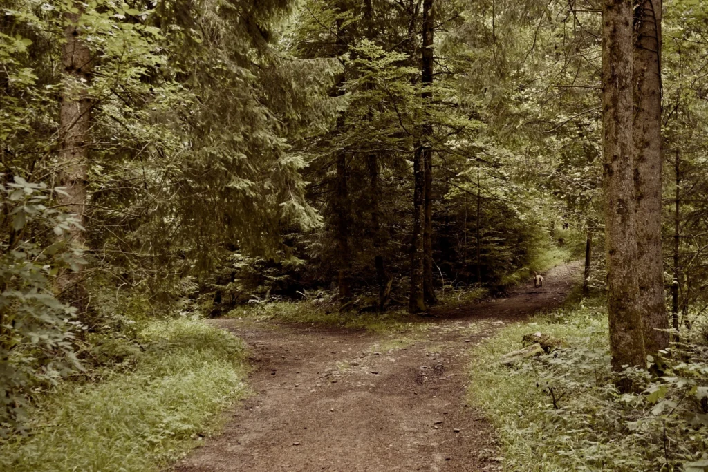 Any Road Will Do? Depends on Where You Want to Go